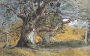 Samuel Palmer Oak Trees,Lullingstone Park oil painting picture wholesale